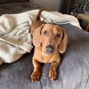 Meet your Posher, Taylor